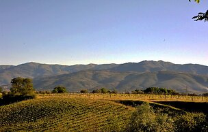 Il Pino Bioagricoltura