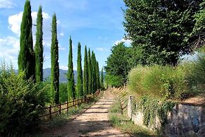 Il Pino Bioagricoltura