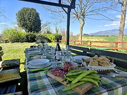 Il Pino Bioagricoltura