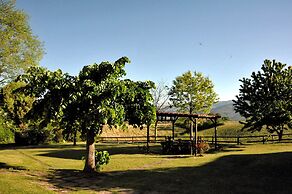 Il Pino Bioagricoltura