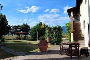 Il Pino Bioagricoltura