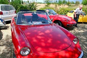 Il Pino Bioagricoltura