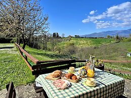 Il Pino Bioagricoltura