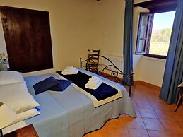 Il Pino Bioagricoltura