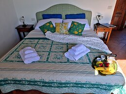 Il Pino Bioagricoltura