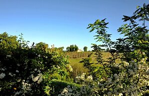 Il Pino Bioagricoltura