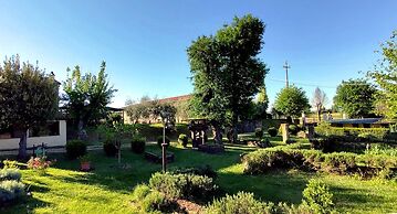 Il Pino Bioagricoltura