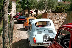 Il Pino Bioagricoltura