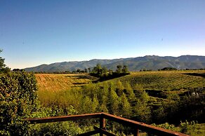 Il Pino Bioagricoltura