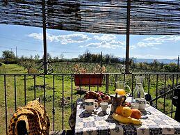 Il Pino Bioagricoltura