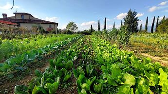Il Pino Bioagricoltura