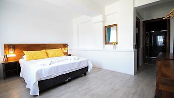 Limonata Bozcaada ex Vina Garden