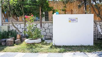 Limonata Bozcaada ex Vina Garden