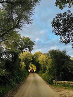 Stadthaus mitten im Künstlerviertel