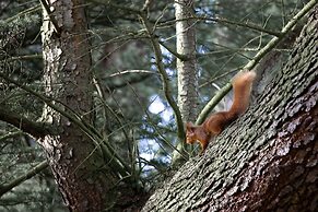 Errol Park - Stately Home Outbuildings Views