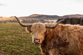Errol Park - Stately Home Outbuildings Views