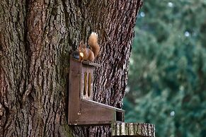 Errol Park - Stately Home Outbuildings Views