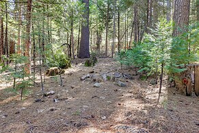 Stay Near Big Trees, Bring Your Pets: Arnold Cabin