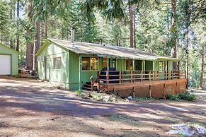 Stay Near Big Trees, Bring Your Pets: Arnold Cabin