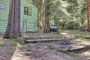 Stay Near Big Trees, Bring Your Pets: Arnold Cabin