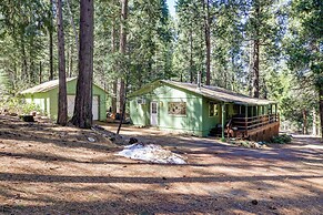Stay Near Big Trees, Bring Your Pets: Arnold Cabin