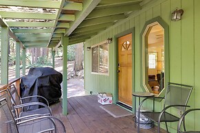 Stay Near Big Trees, Bring Your Pets: Arnold Cabin