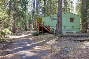 Stay Near Big Trees, Bring Your Pets: Arnold Cabin