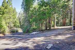 Stay Near Big Trees, Bring Your Pets: Arnold Cabin