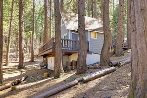 Hike, Ski & Sip: Arnold Cabin 4 Mi to State Park!