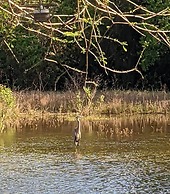 Pondside Perch - Your Waterfront Retreat 3 Bedroom Home