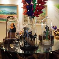 Casa Jaguar