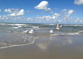 Modern Retreat Near Beach