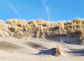 Modern Retreat Near Beach