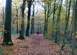 Modern Retreat Near Beach