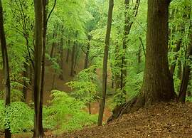 Modern Retreat Near Beach