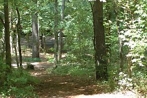 Outdoor Adventure Rafting