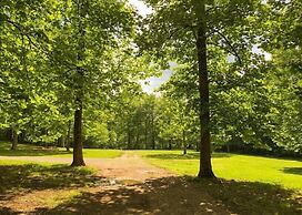 Outdoor Adventure Rafting