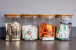 Lilly Rose Bedlington