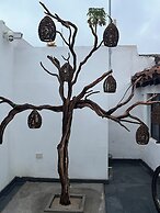 Kasa Morelos Hotel Boutique