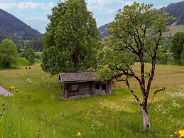 Spacious Holiday Apartment Near Kitzbuhel