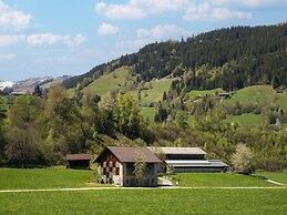 Spacious Holiday Apartment Near Kitzbuhel