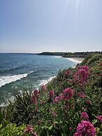 Bright Welcoming Falmouth Home Garden Parking