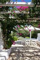 Villa Joy in Ampelas Paros