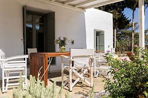 Sun Drop II With Garden - Drios Beach Paros