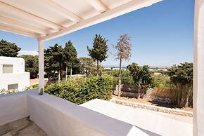 Sun Drop I With Private Pool Drios Beach Paros