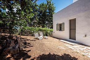 Sun Drop I With Private Pool Drios Beach Paros