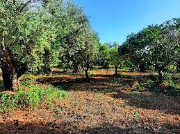 Agrilis Cottage Near the Beach