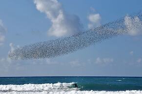 Agrilis Cottage Near the Beach