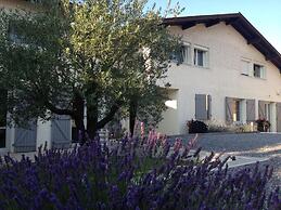 Aux Sources D'hossegor