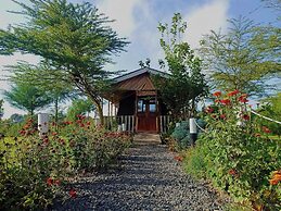 Tamarisk Ol Bolosaat